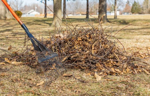 yard raking