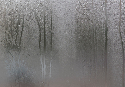 Window Condensation