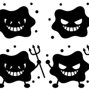 Mold Spores